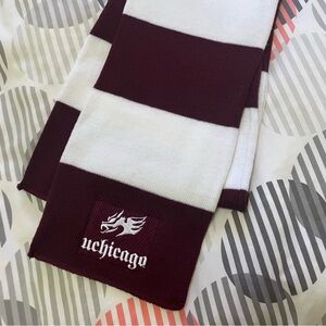 UChicago Maroon and White Striped Scarf